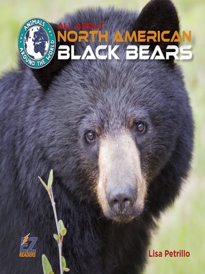 cover image of All About North American Black Bears